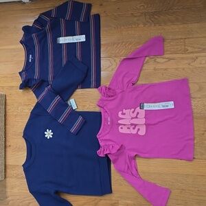 OKIE DOKIE BRAND TODDLER GIRLS BUNDLE OF 3 TOPS SIZE 3T